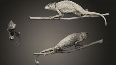 3D model Chameleon (STL)